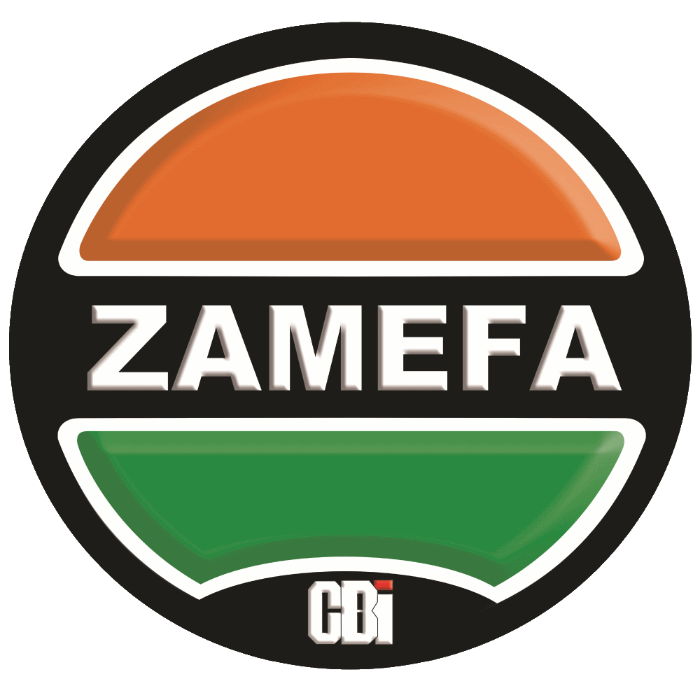 ZMFA logo